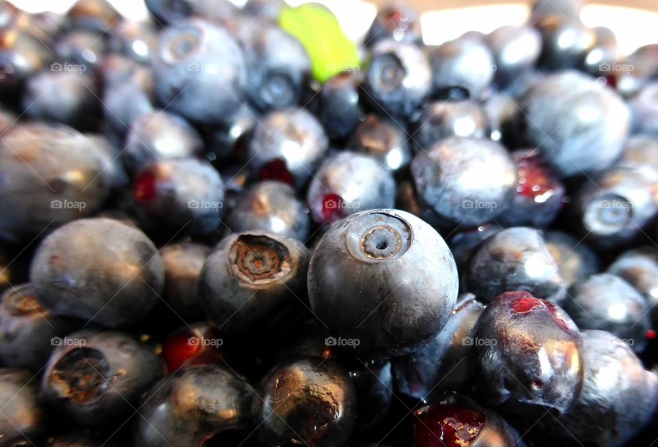 Blueberries closeup