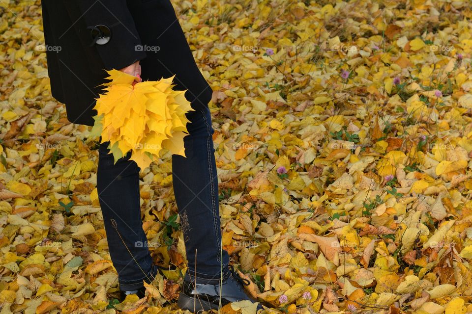 Fall, Nature, Leaf, Outdoors, People