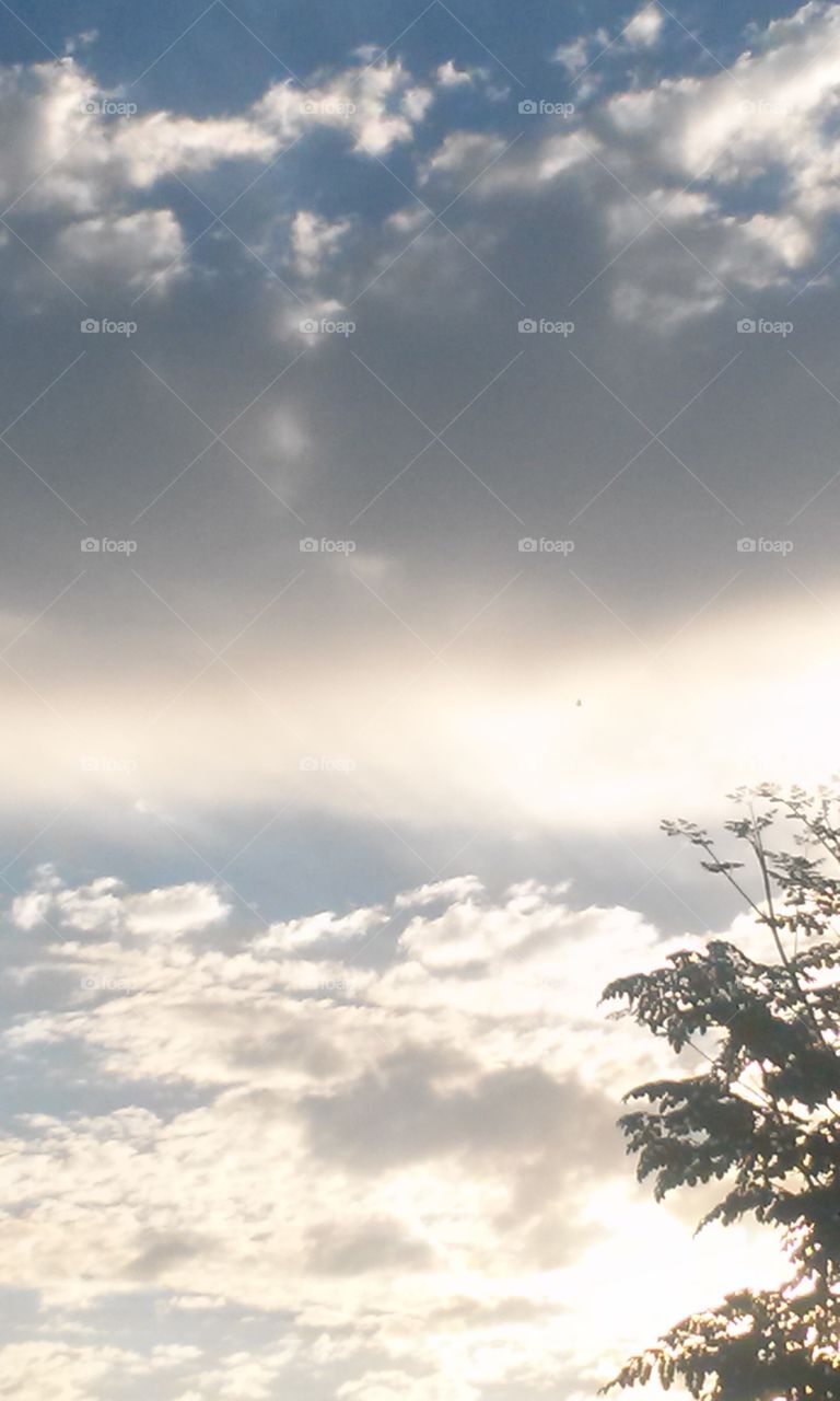 Landscape, Nature, Sky, Sun, No Person