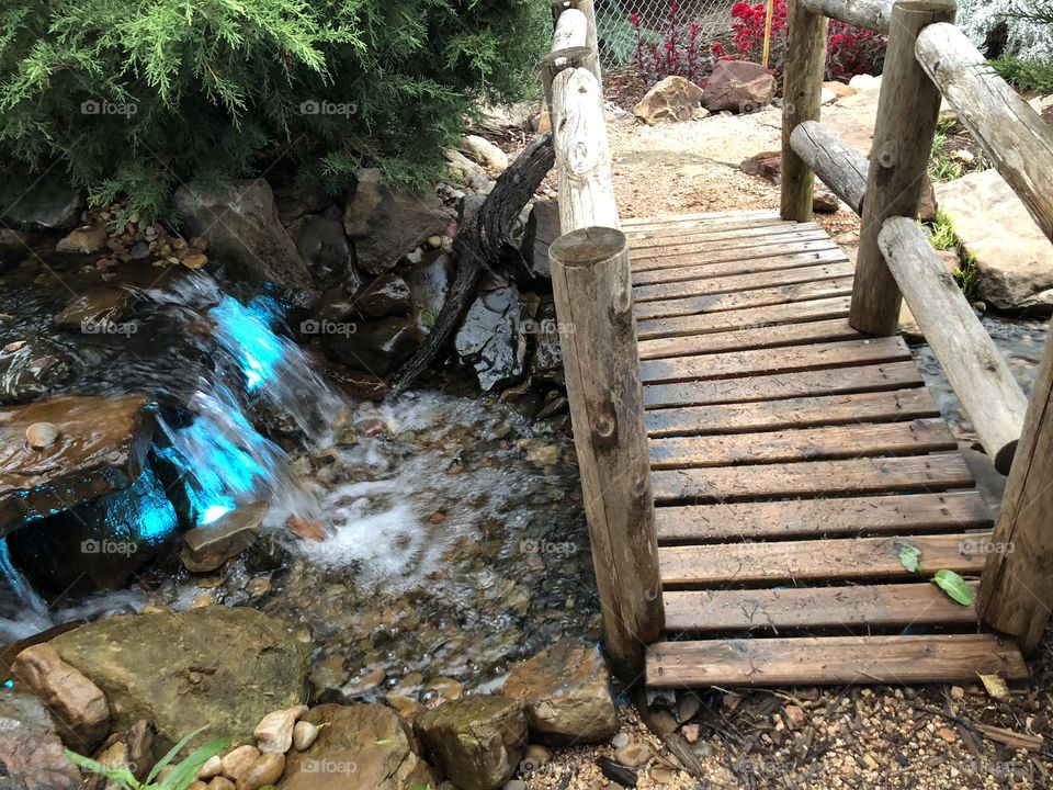 Pond with Bridge 