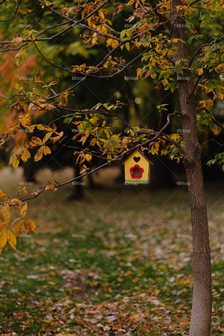 I love my nature walks.  I never know what I'm going to see.