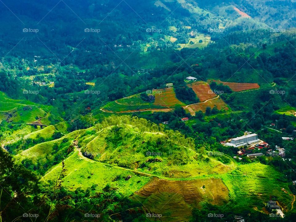 The Demodara Railway Station, situated above the tunnel, offers a fantastic view of the spiral loop. It houses a model depicting the circuit and the station that one can admire while waiting for the train. @View point of Demodara, Elle, Srilanka 