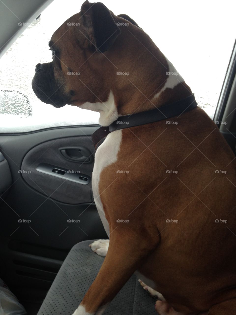 Waiting for the Windows to thaw