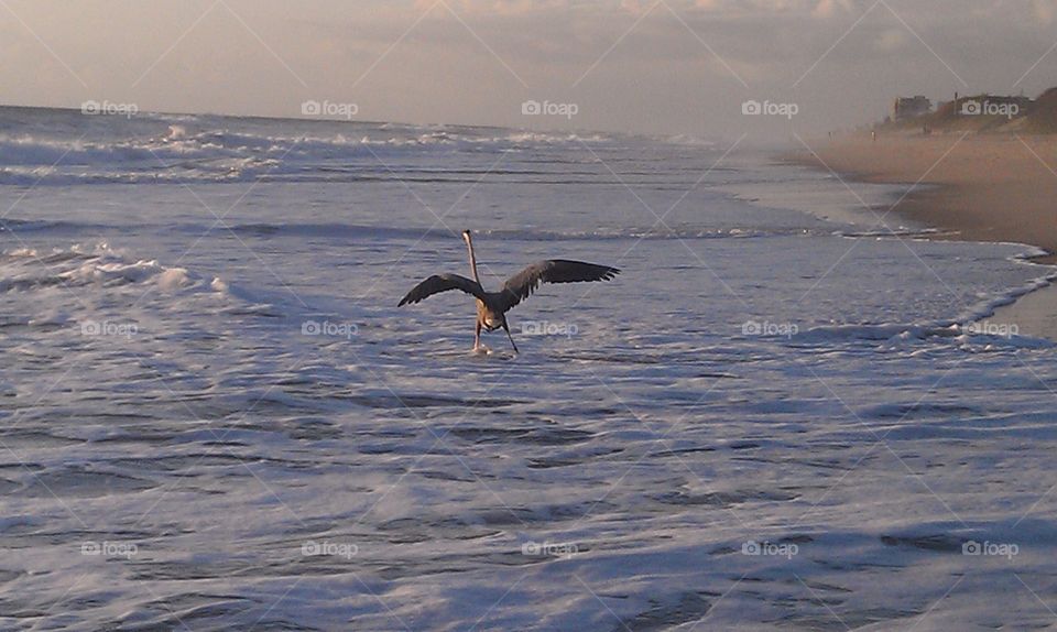 Heron pre-flight. Heron Pre-flight