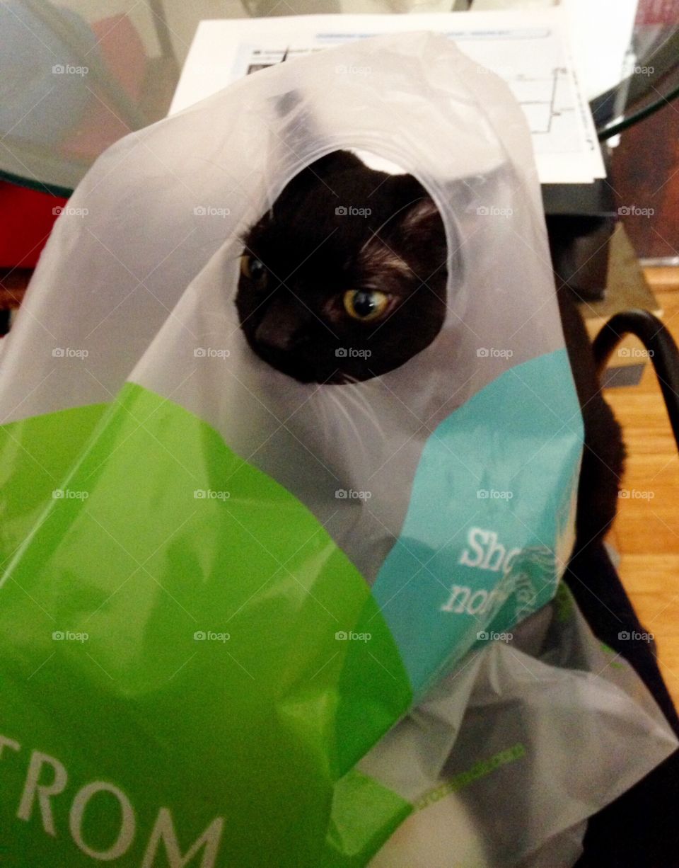 Get me out of this plastic bag. 