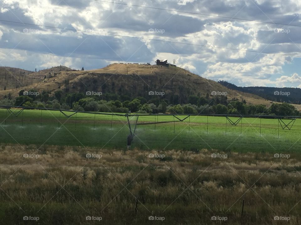 Landscape, Agriculture, Cropland, Tree, Farm