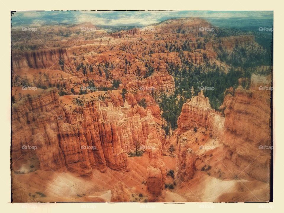 Bryce Canyon Overlook