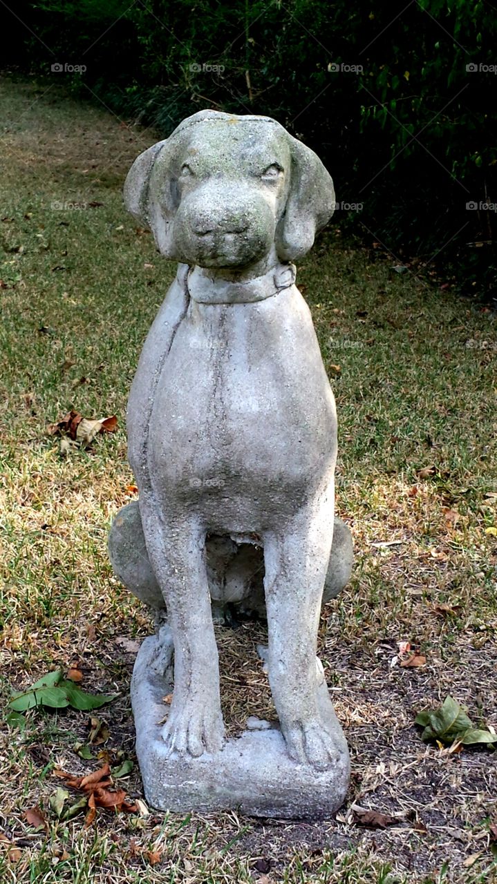 dog statue