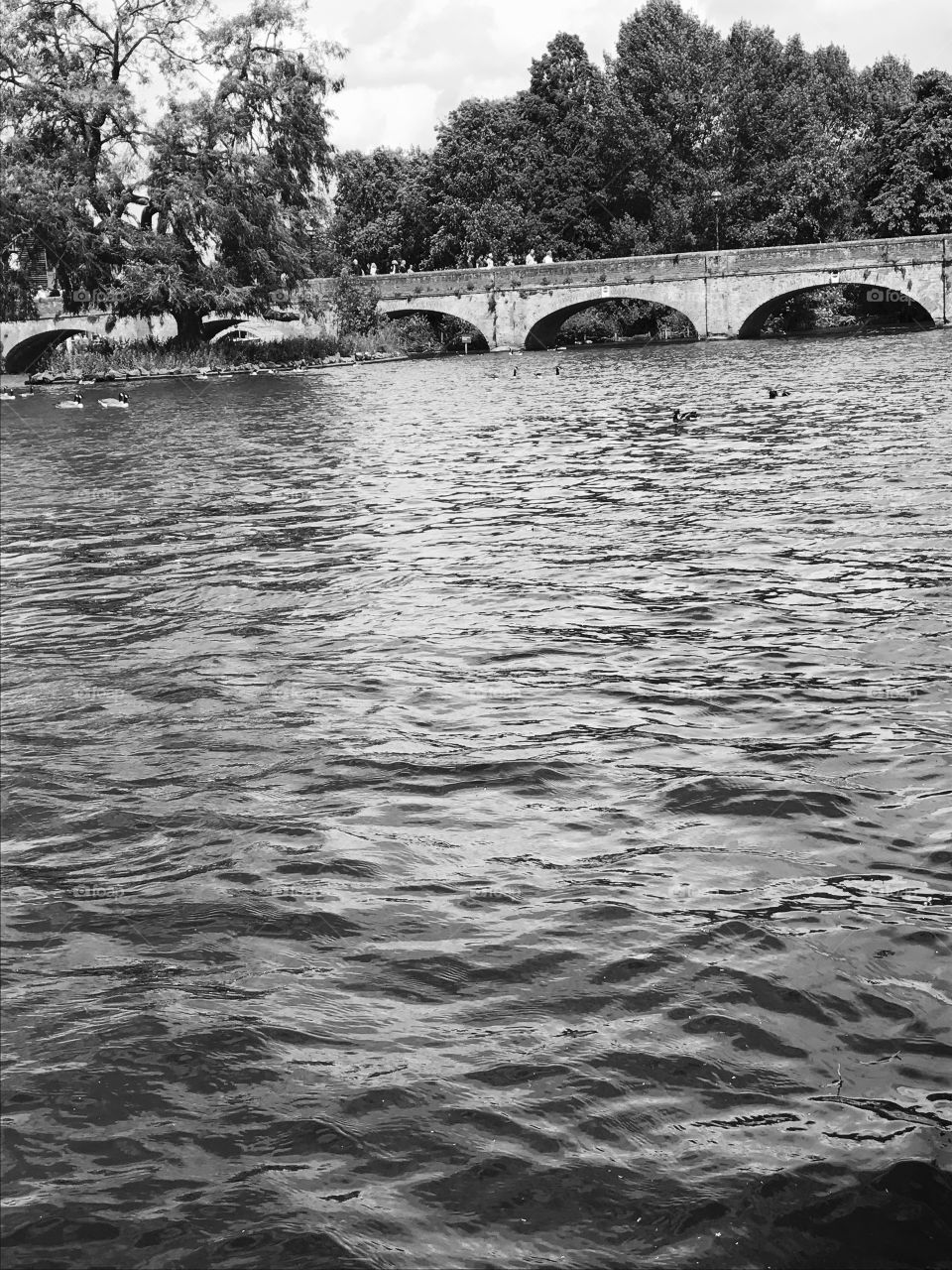 Black and white river Avon 