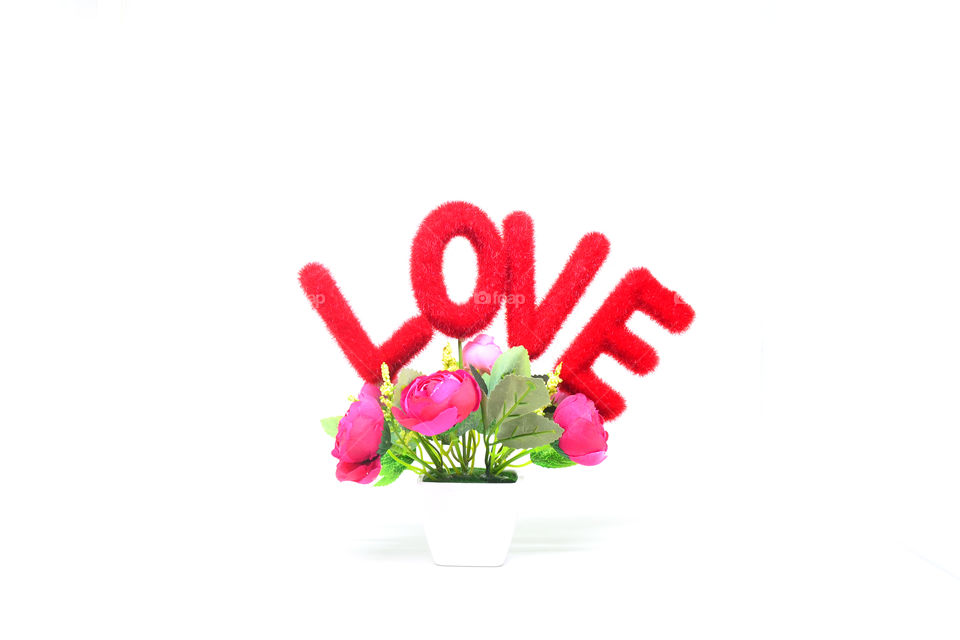 love text and rose flower