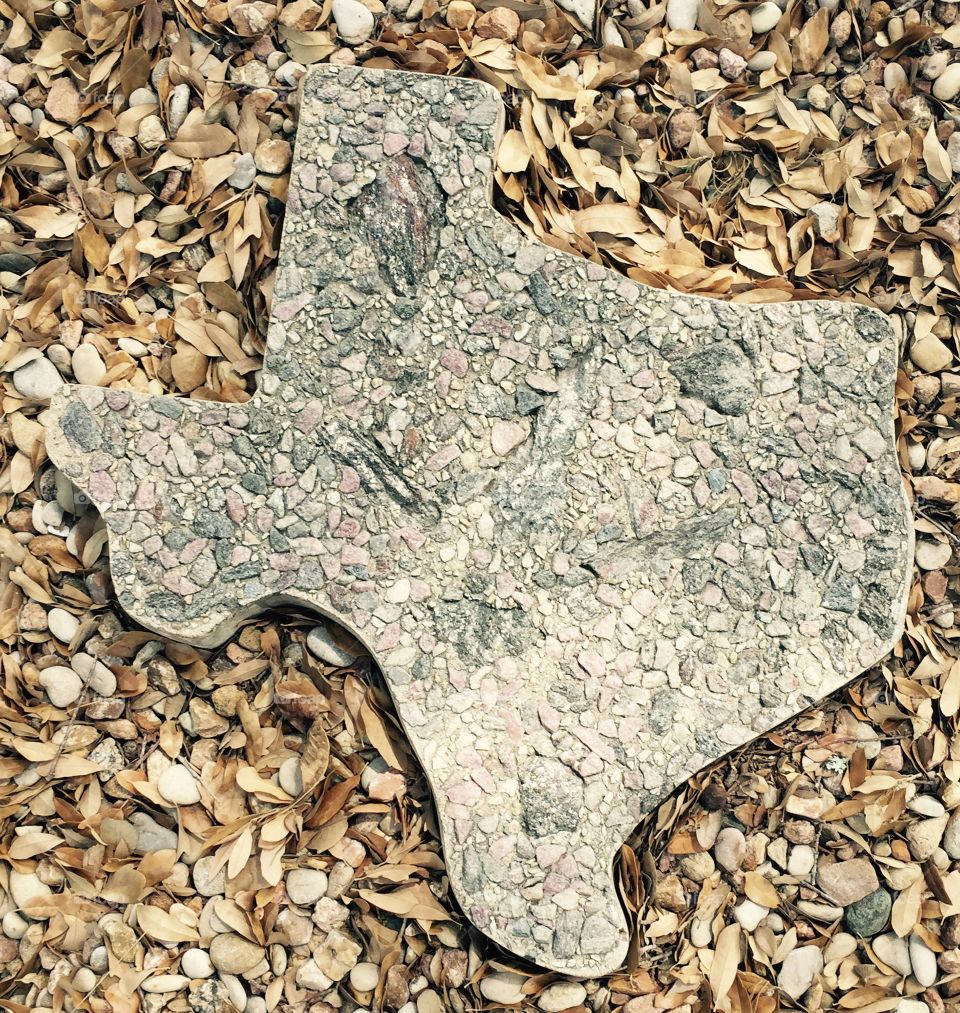 Texas stepping stone in rocks 