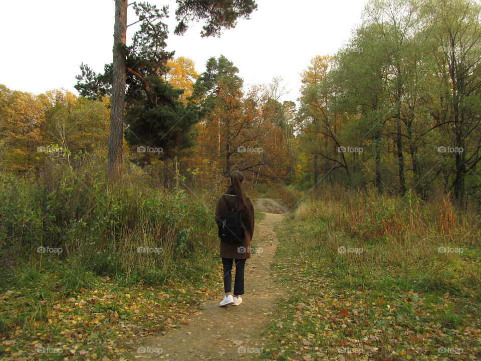 walk in the autumn morning forest. silence and tranquility of nature