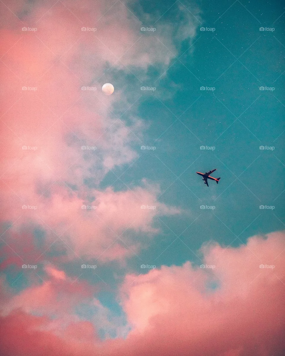 Fly