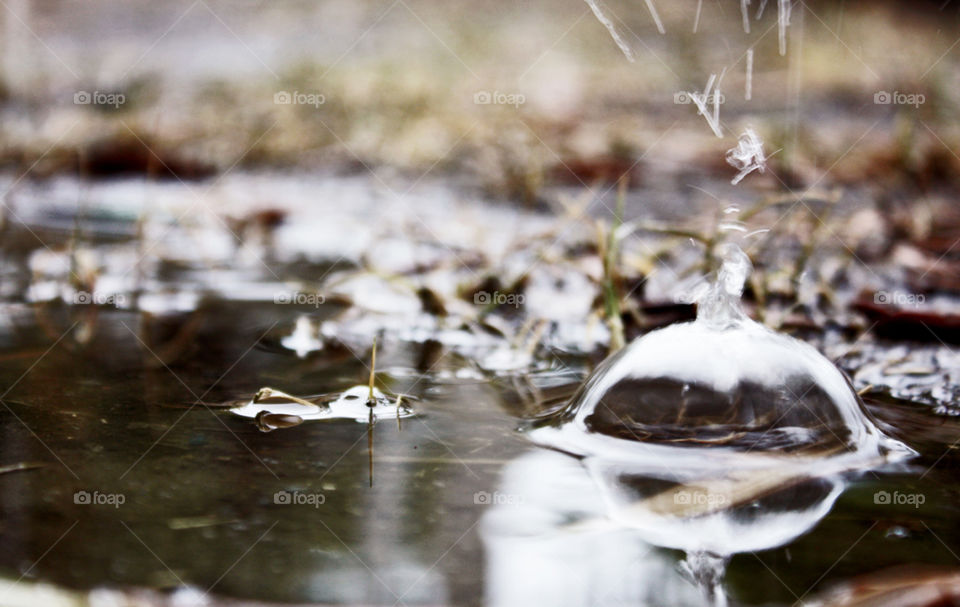 ground nature close leaves by pablogarcia