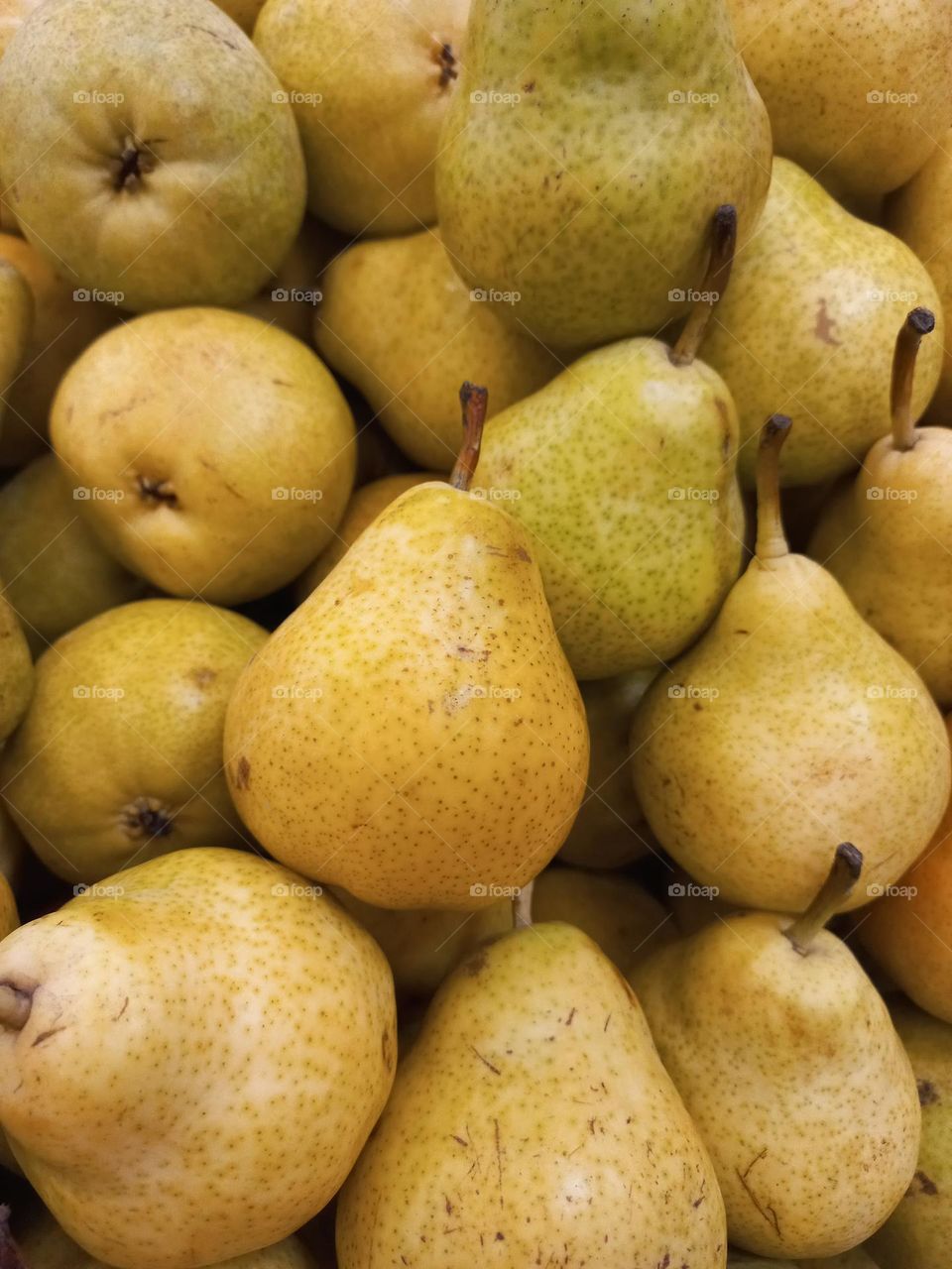 Pera é uma fruta que fornece nutrientes  importantes para a saúde, como Vitamina A, E, C, fibras, potássio,  magnésio e Cálcio.