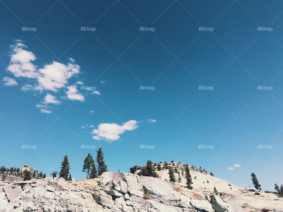 Summer at Yosemite National Park