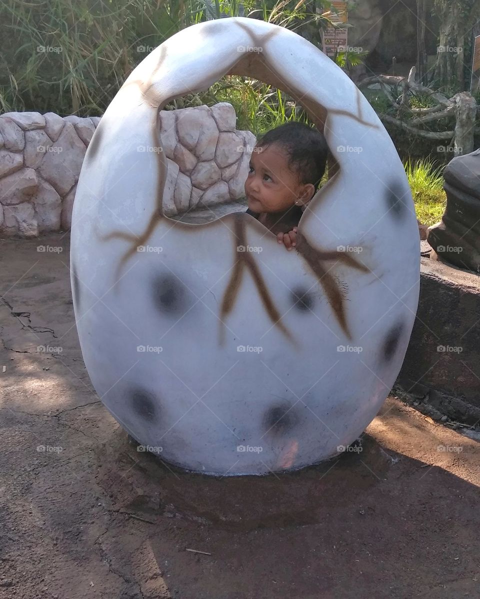 Children in the window of egg