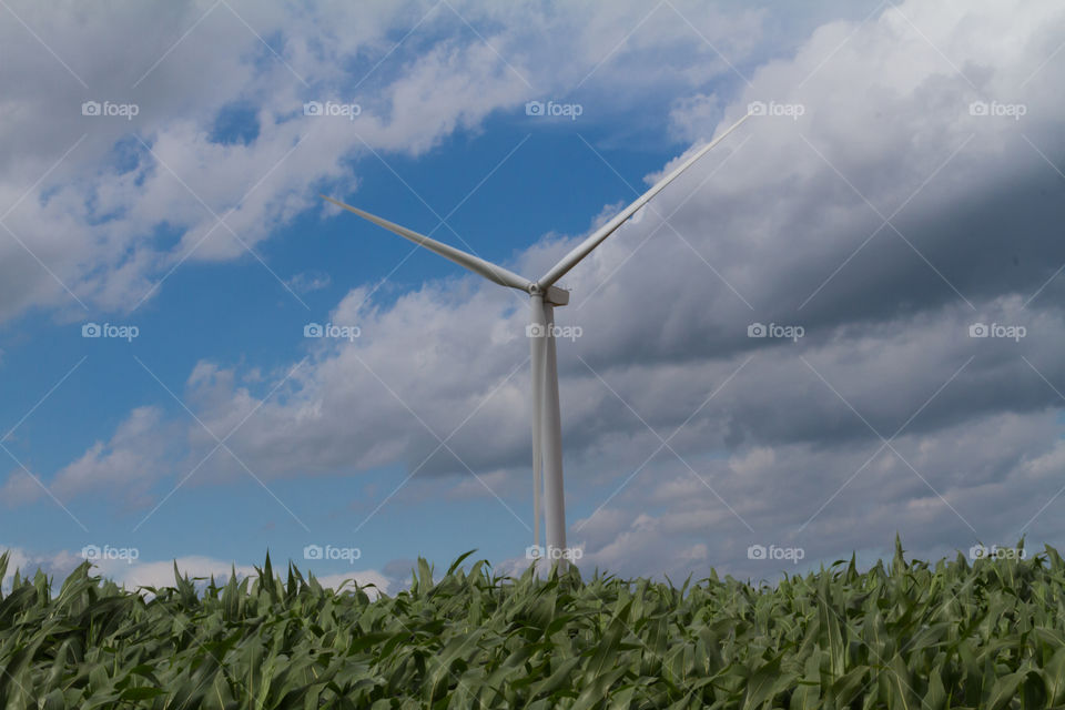 wind farm