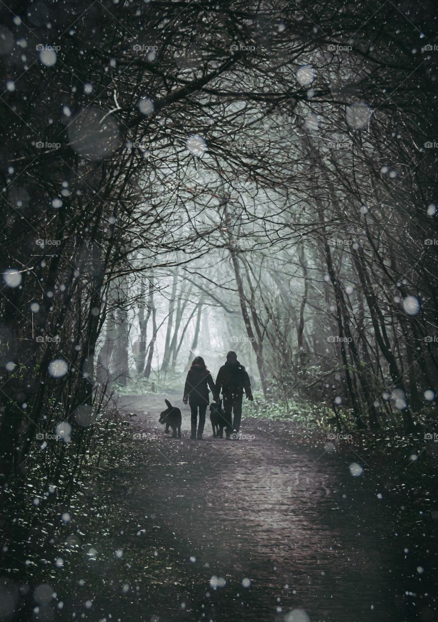 Dog walkers in the woods