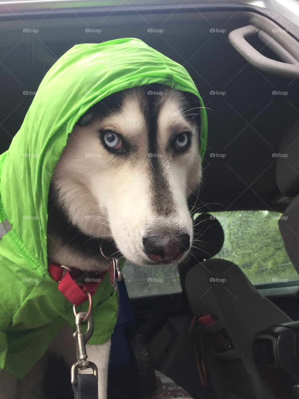 Really mom, do I have to were this raincoat!
