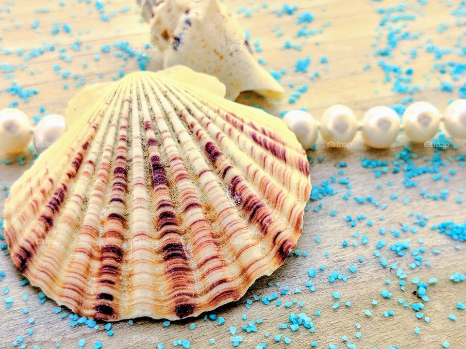 Pearls and seashells