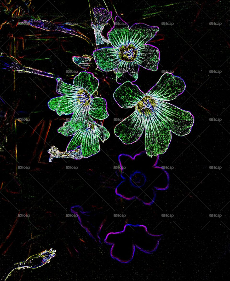 Abstract, Flower, Pattern, Desktop, Texture