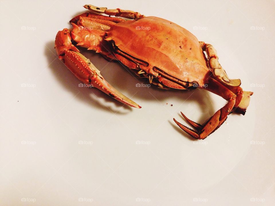 Cooked Crab