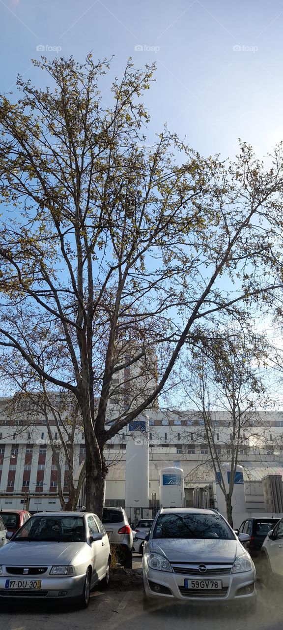 Hospital universidade coimbra