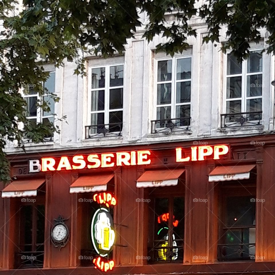 famous restaurant Lipp in Paris