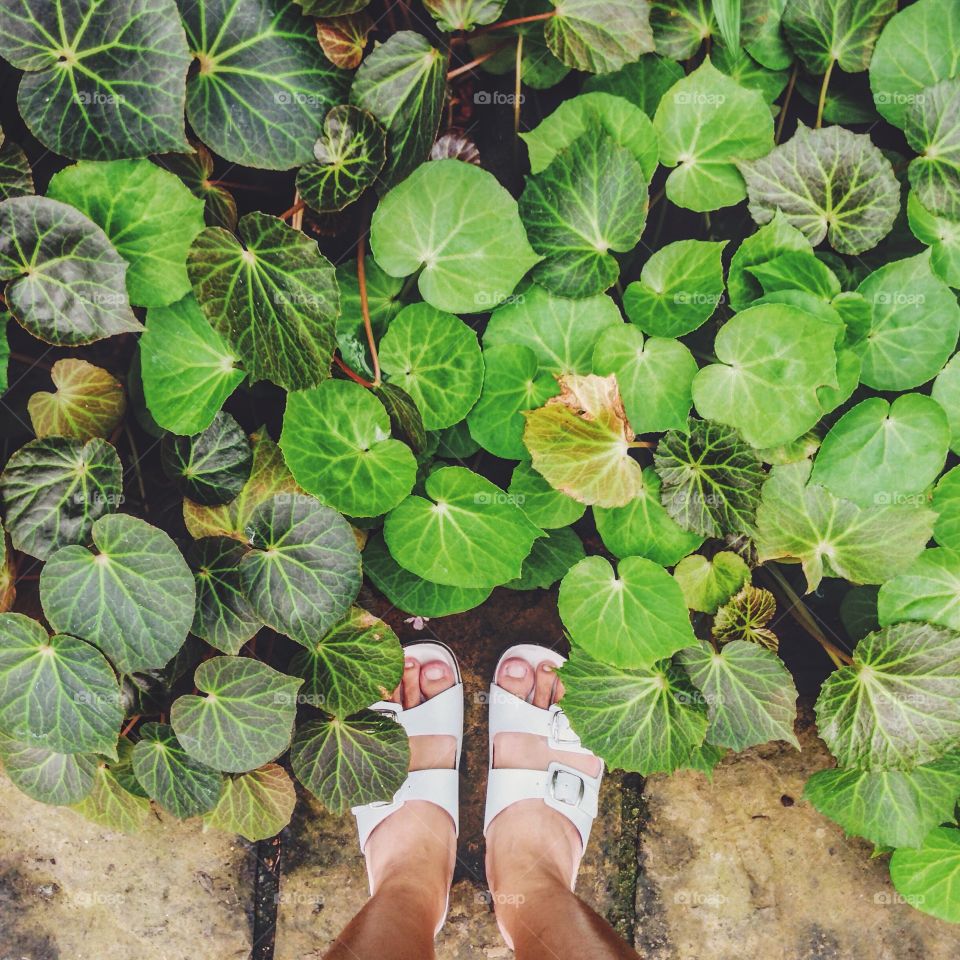 Standing in botanical garden