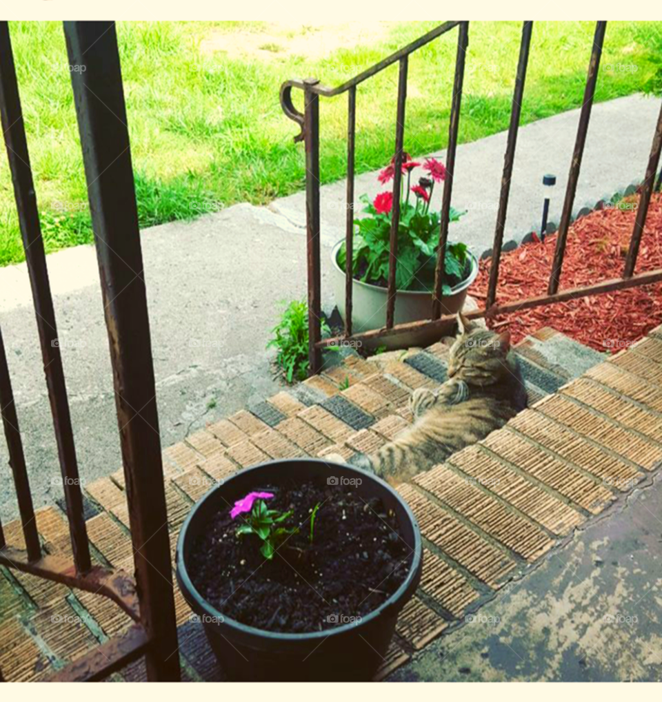 stray, looking for love ❤💋😍