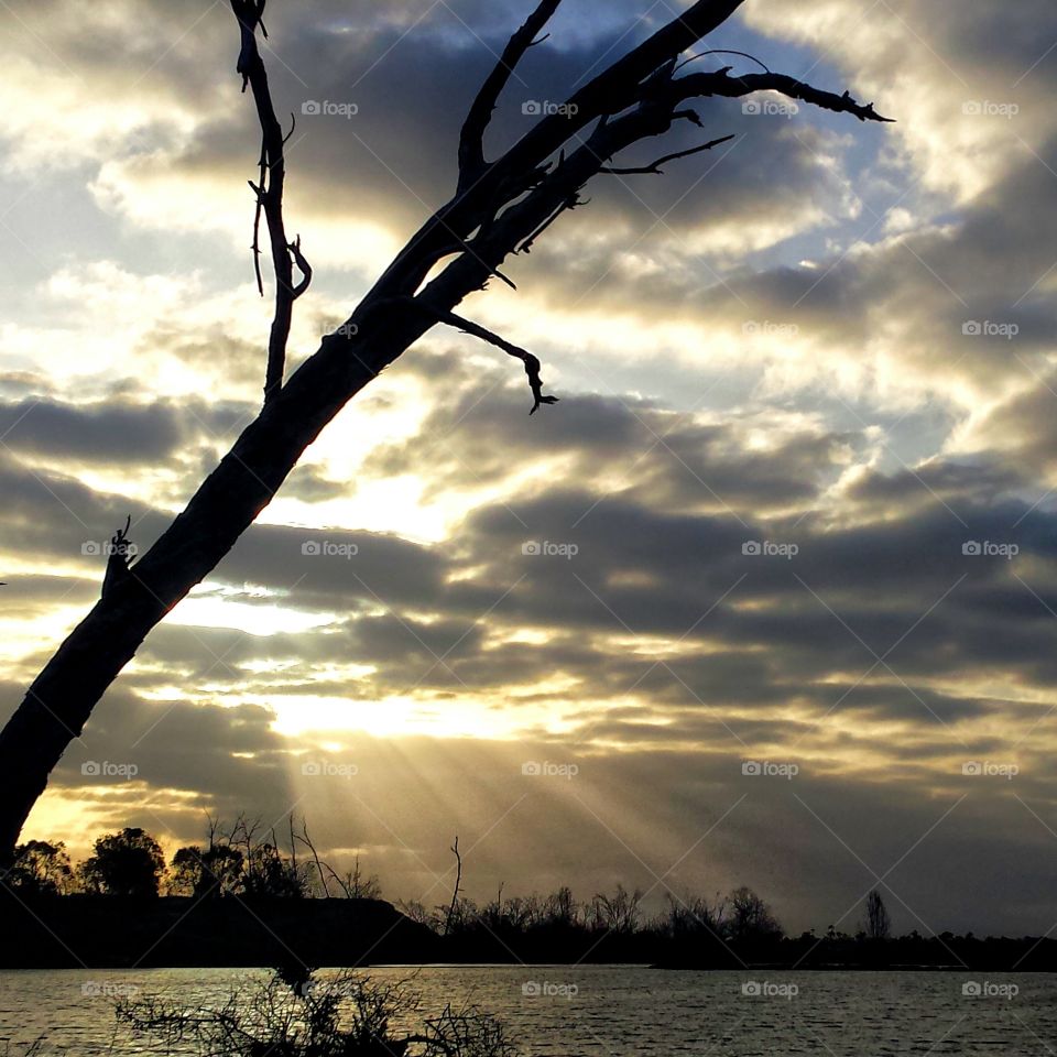 Sunbeams floating down to earth