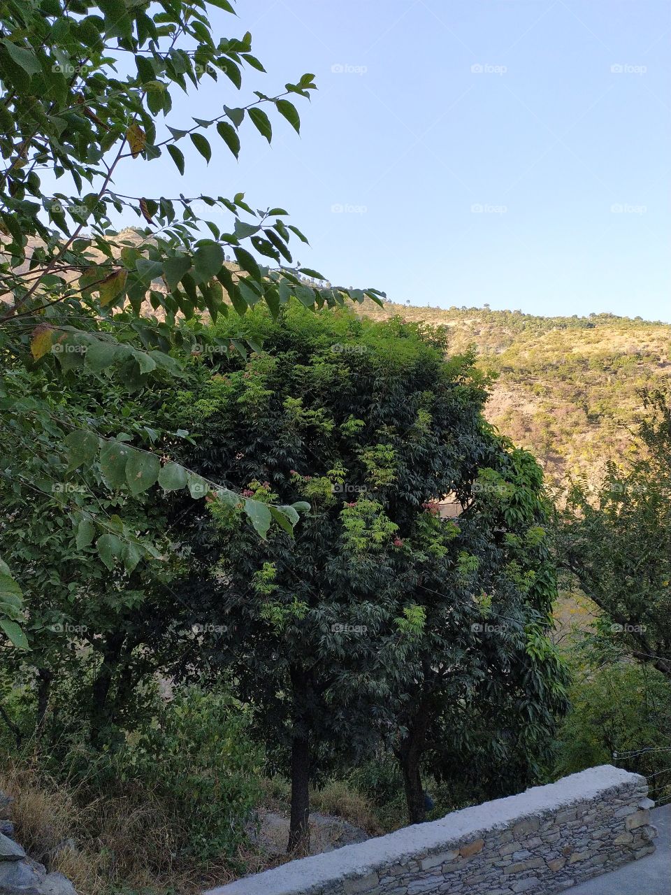 The view at the sunset hour