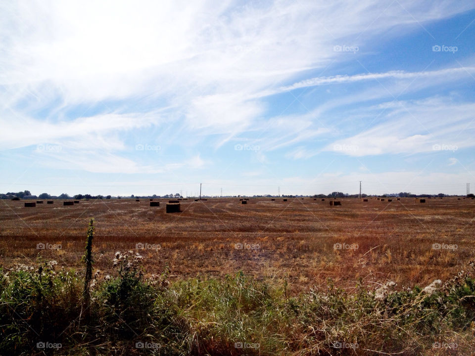sky field summer clouds by dannytwotaps