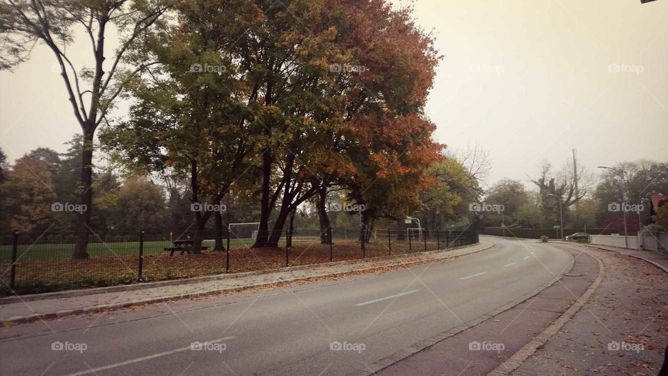 Park in neunkirchen :)