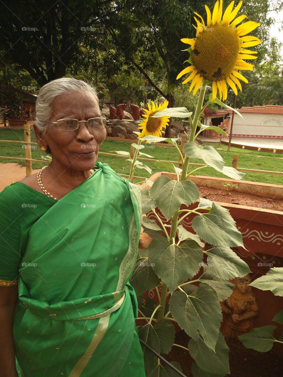 indian tradetional woman standing at the sunflower tree.