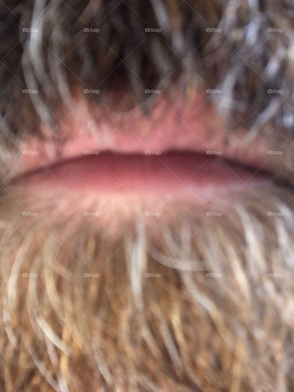 Close up soft focus bearded mouth