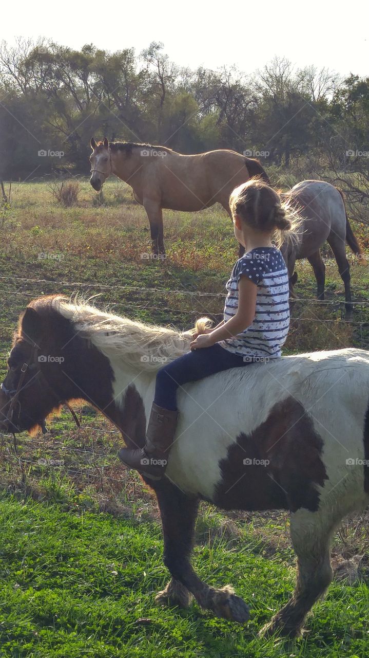 my talented beautiful daughter riding her pony pixie before the sun goes down