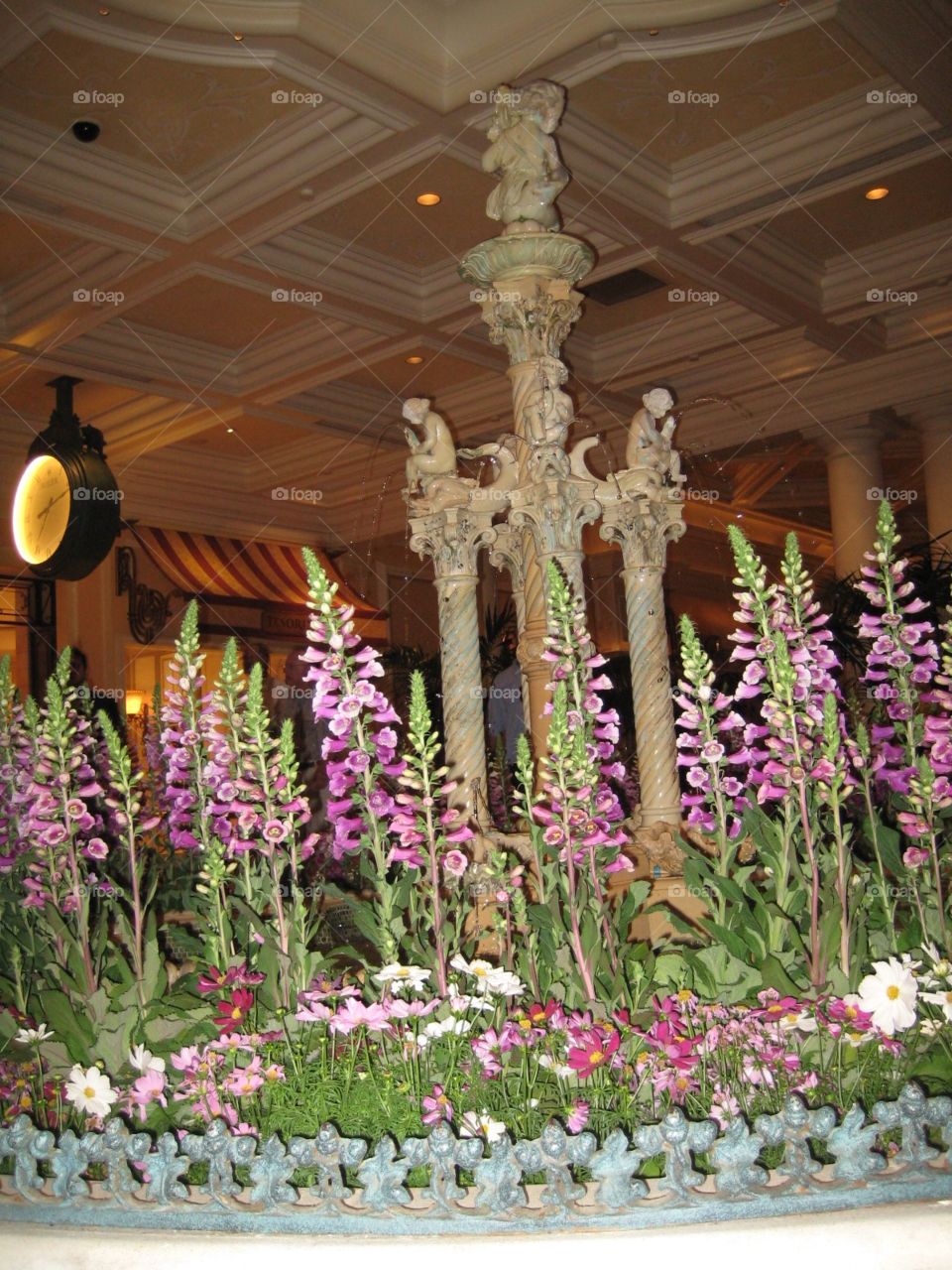 Indoor flowers and plants. Interior decoration in a hotel.