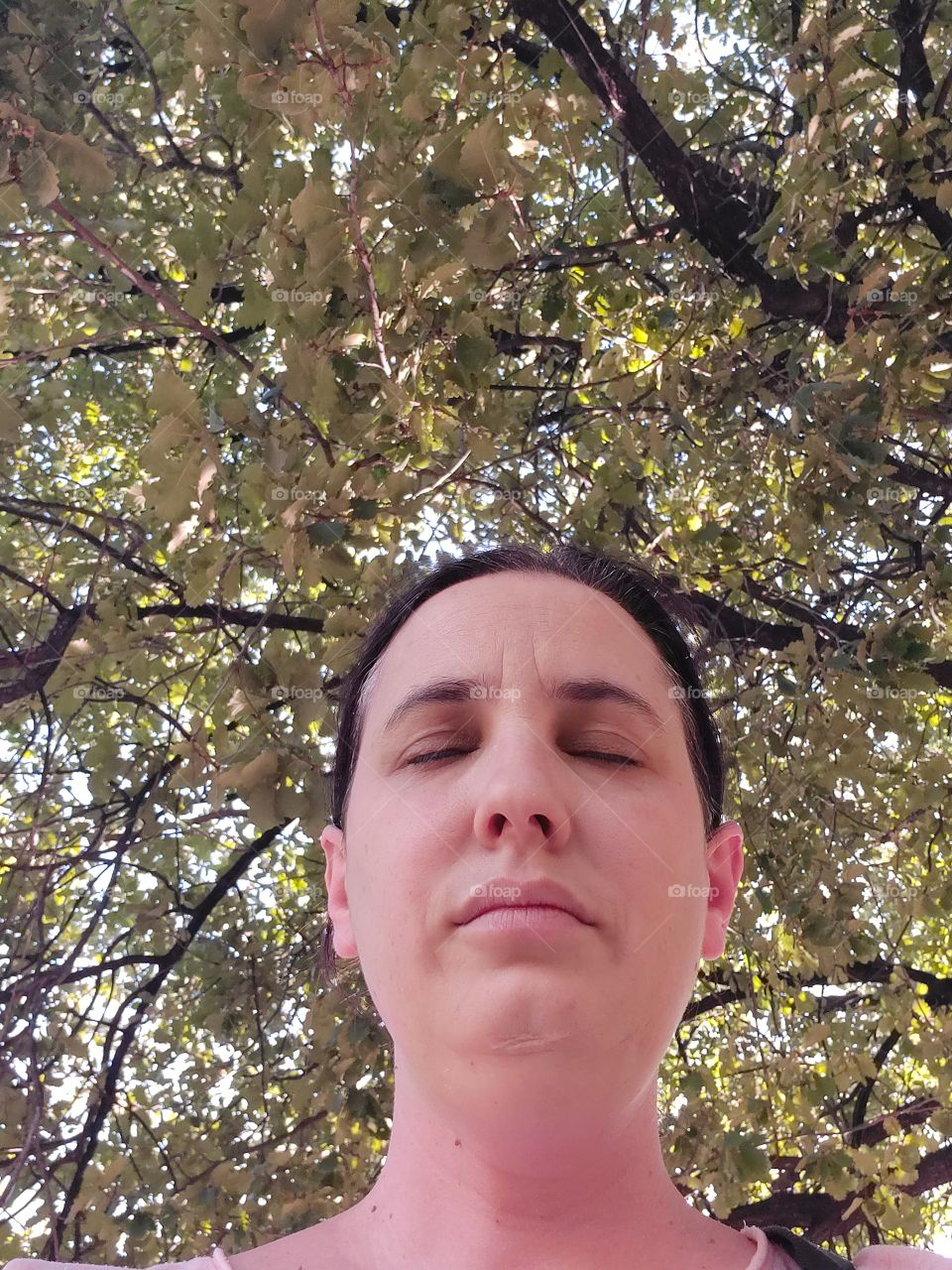 Mente relajada con naturaleza