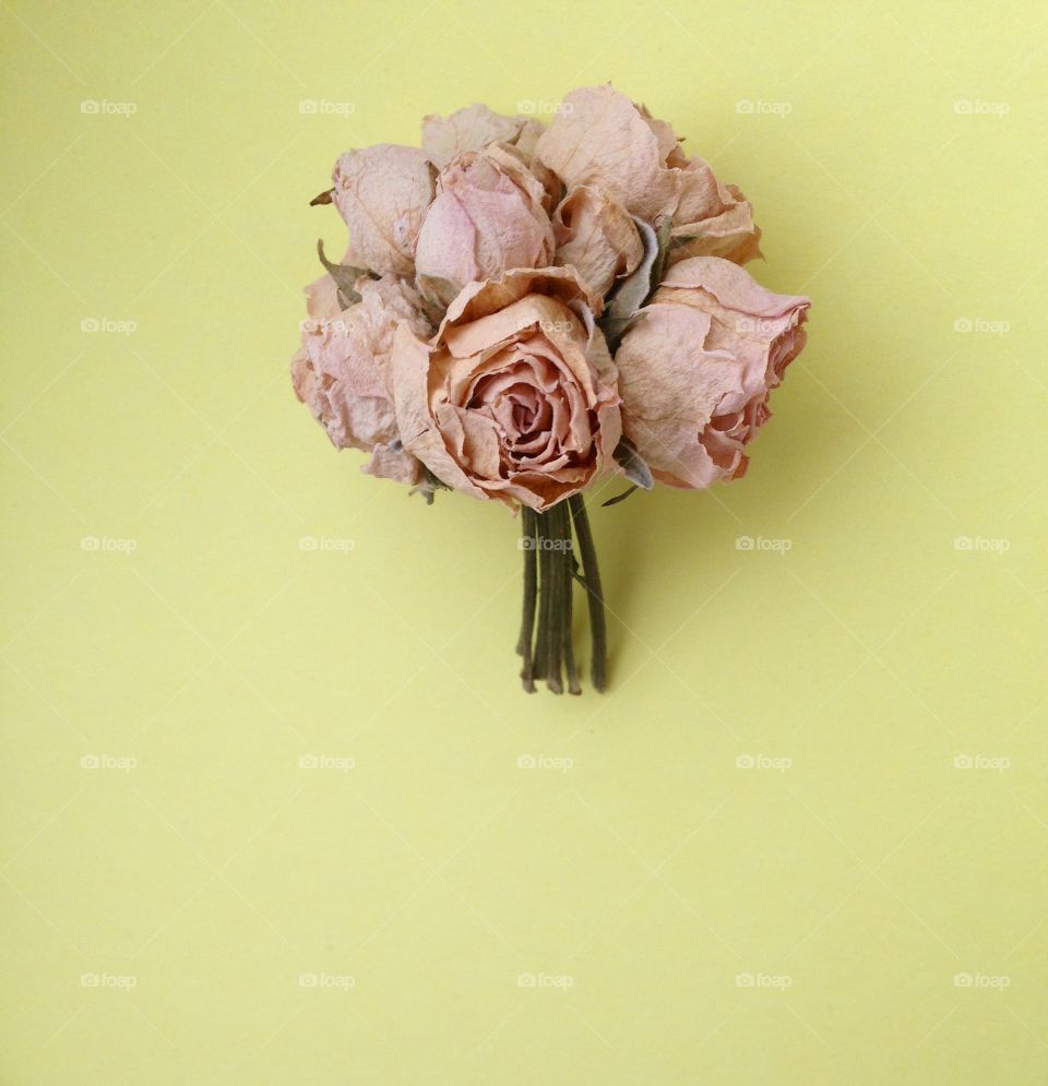 Bouquet of dry flowers on yellow bright background 