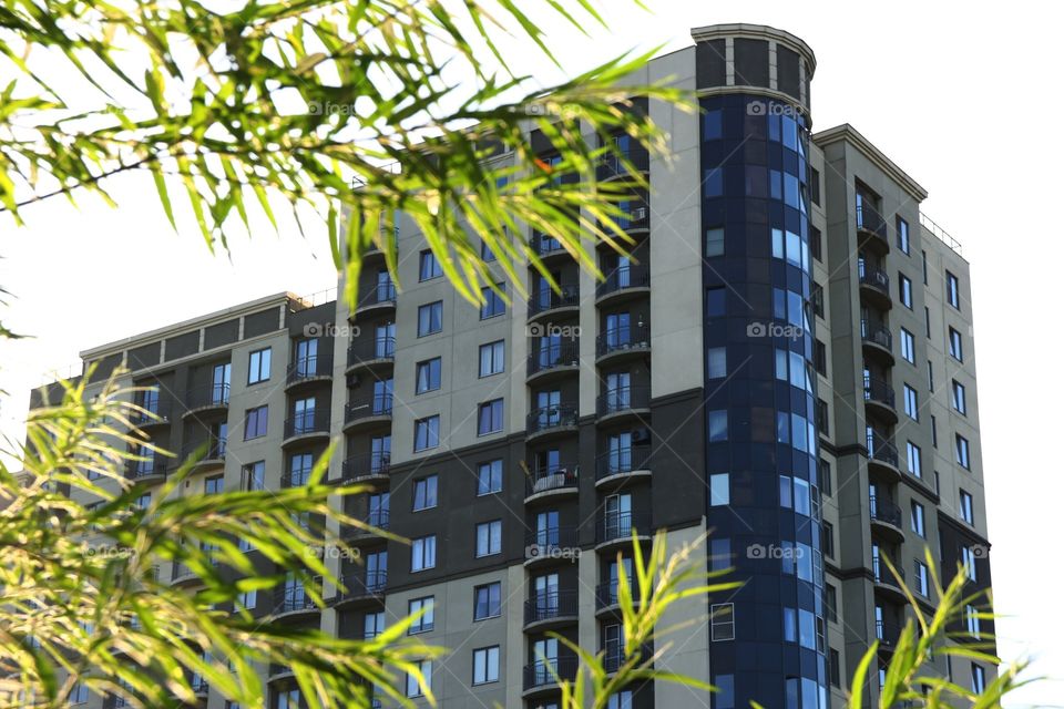 Beautiful plants and building 