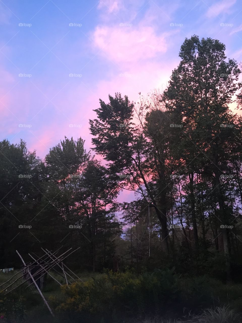 Purple evening sky