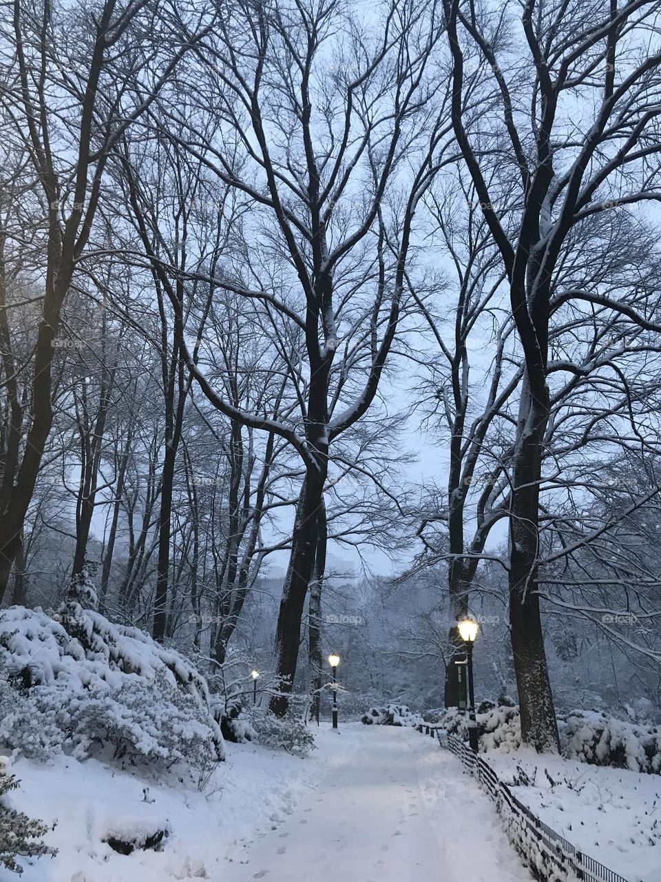 Hiking in the snow