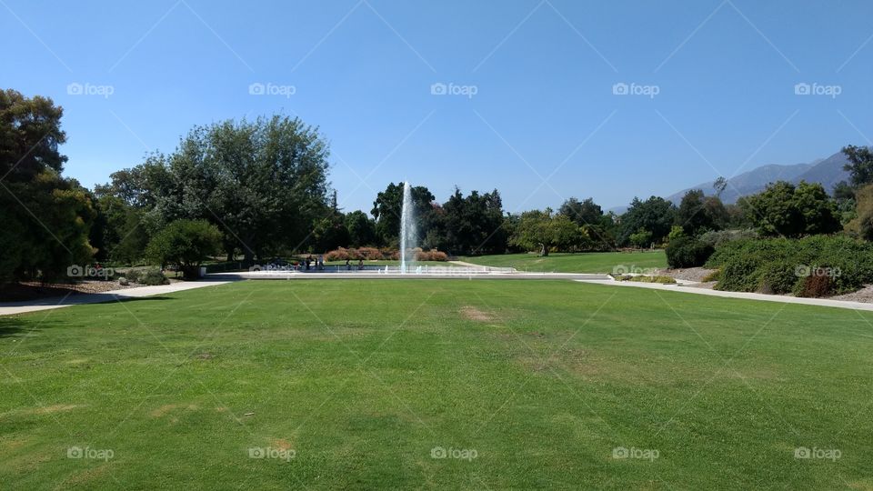LA Arboretum