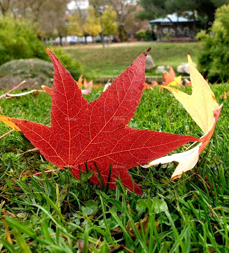 Otoño