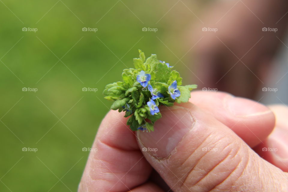 Itty bitty flower bouquet. bouquet the size of your thumb 