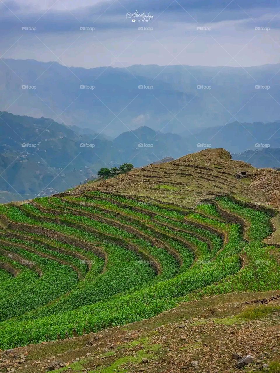 Glory be to God, the magnificent and picturesque view and the natural green trees are a view that is nothing more wonderful than it