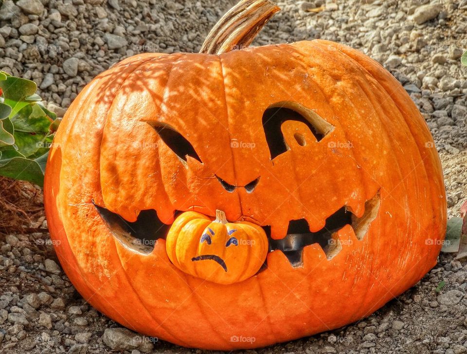 Quirky Jack-o-Lantern