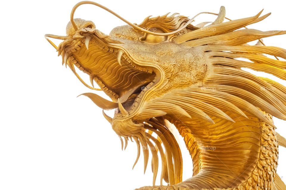 Amazing beautiful golden dragon head statue 